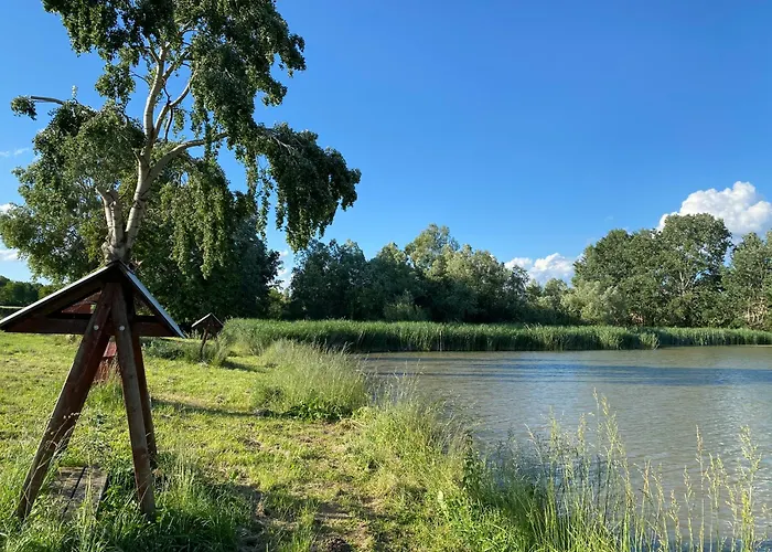Apartamento Janus Country Site árpád-ház Szakcs