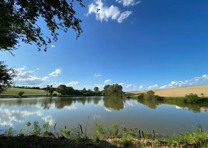 Janus Country Site Arpad-haz *